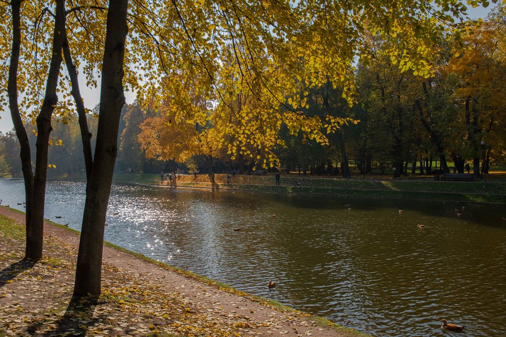 Photograph by Оксана Худякова