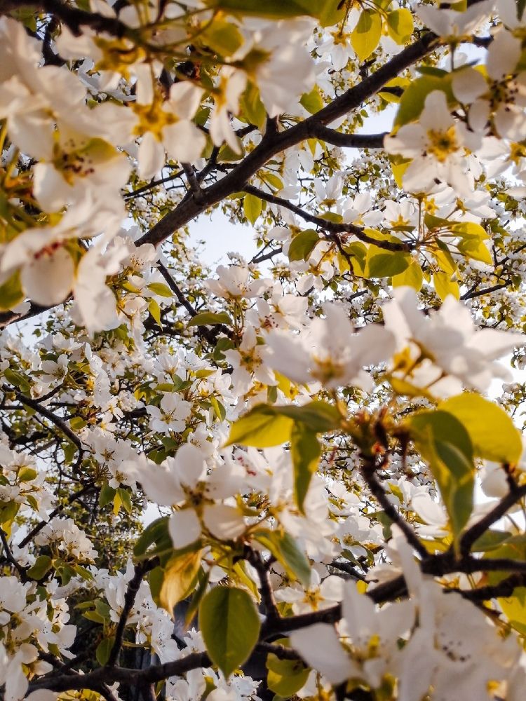 Photograph by Алсу