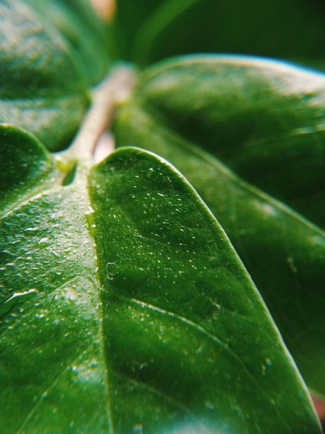 Photo #6692466
