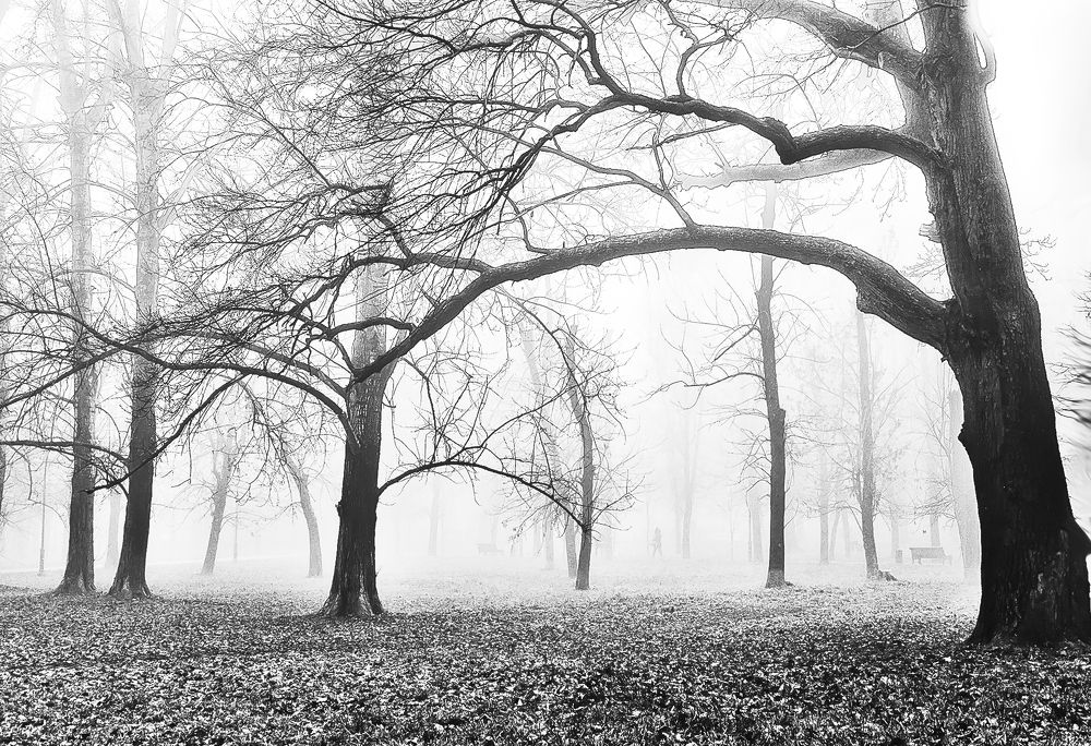 Photograph by Лариса Петрова