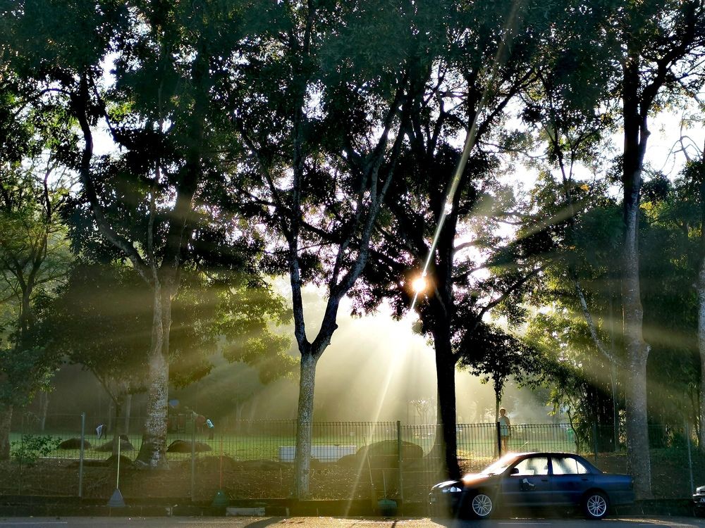 Photograph by Chunhou Poon