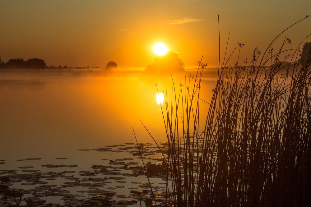 Утренняя тишина