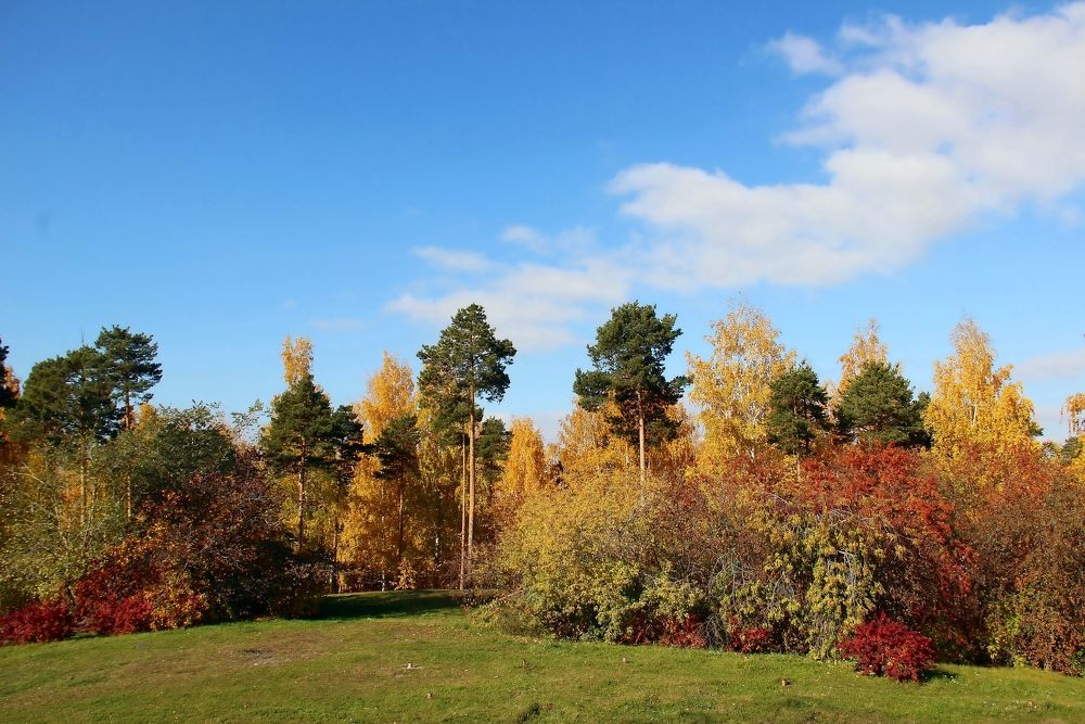 Photograph by Любовь Саханова