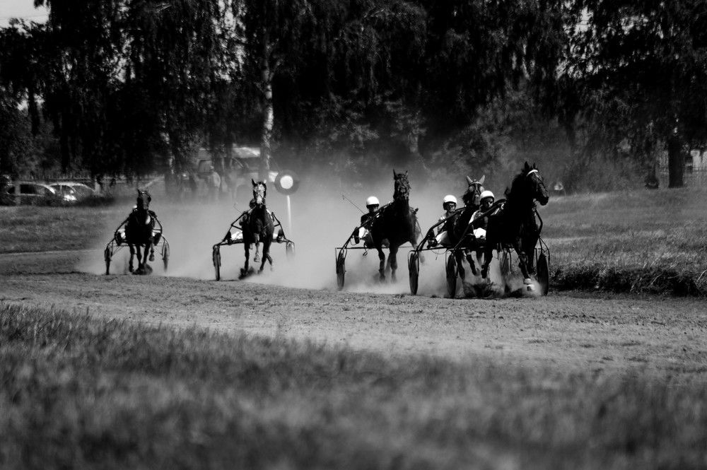 Photograph by Мария Лавриненко