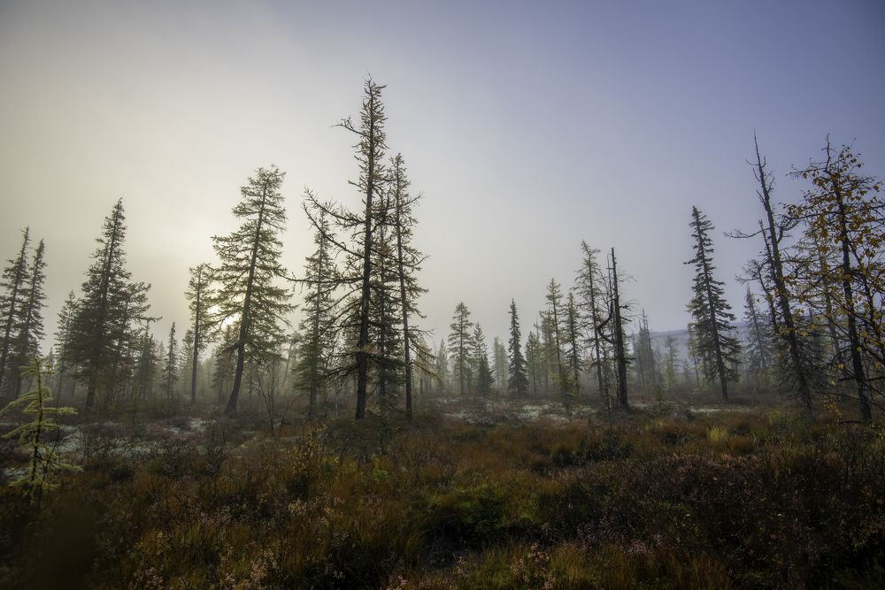 Photograph by Кадырова Марина