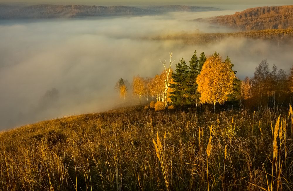 Туман осеннего утра