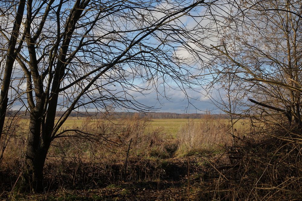 Photograph by Мария Харлашова