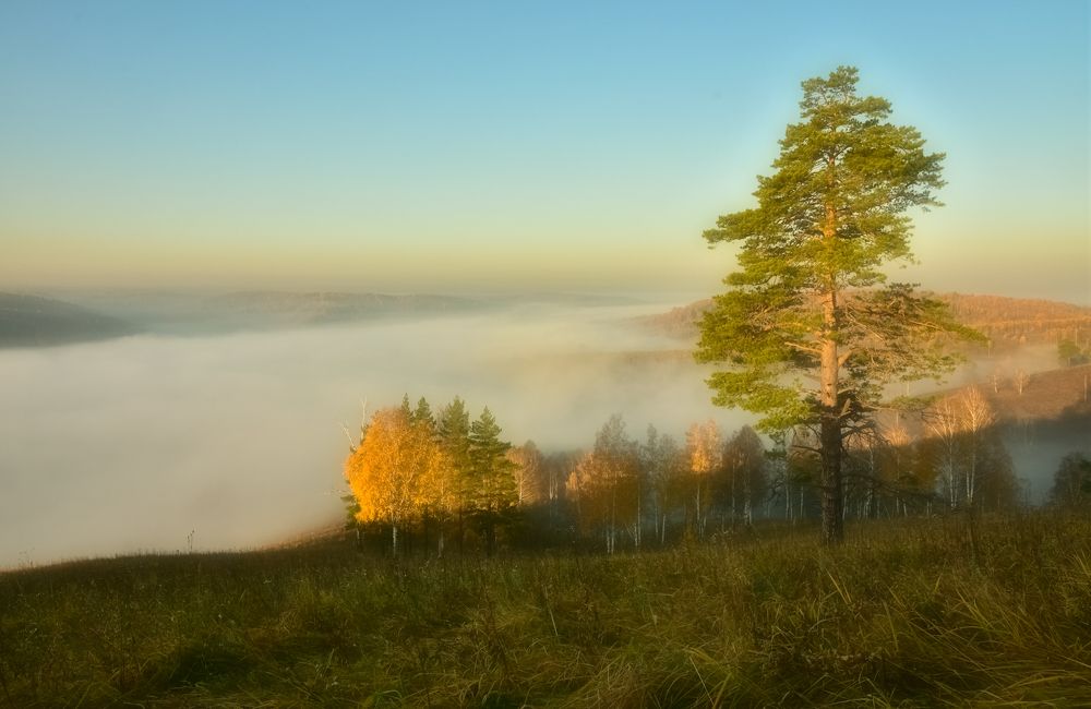Осеннее утро в октябре