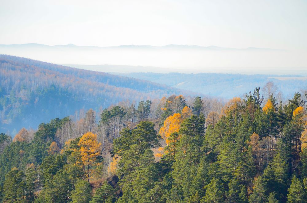 Photograph by Сергей Глухарев