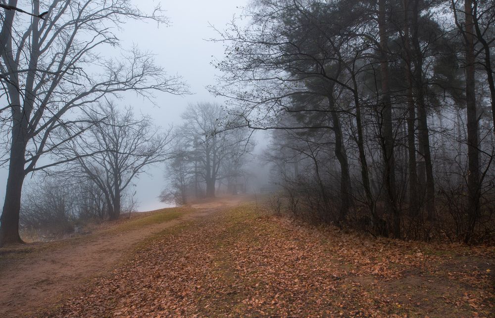 Photograph by Марина Бузина