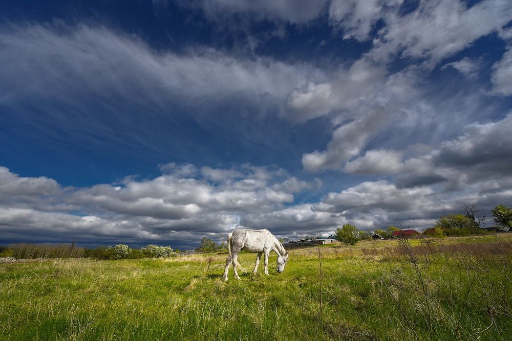Photograph by Лариса Петрова