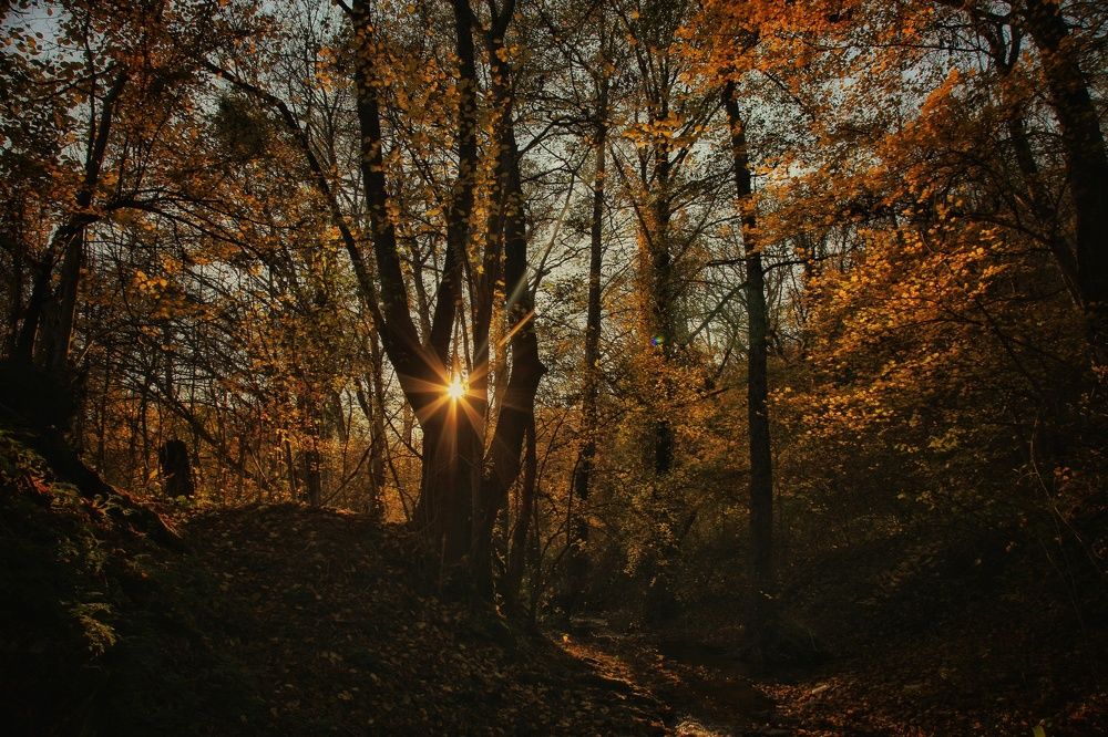 Photograph by Михаил Саидов