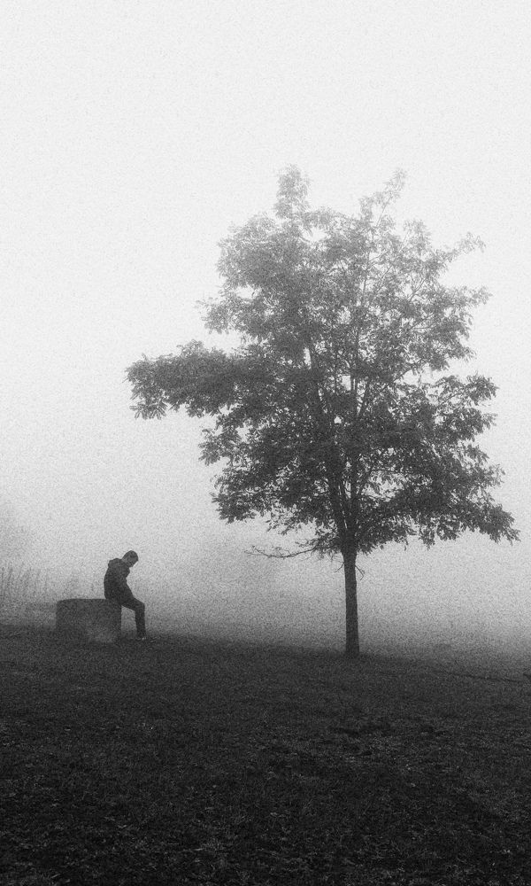 Photograph by Rastin Haghighi