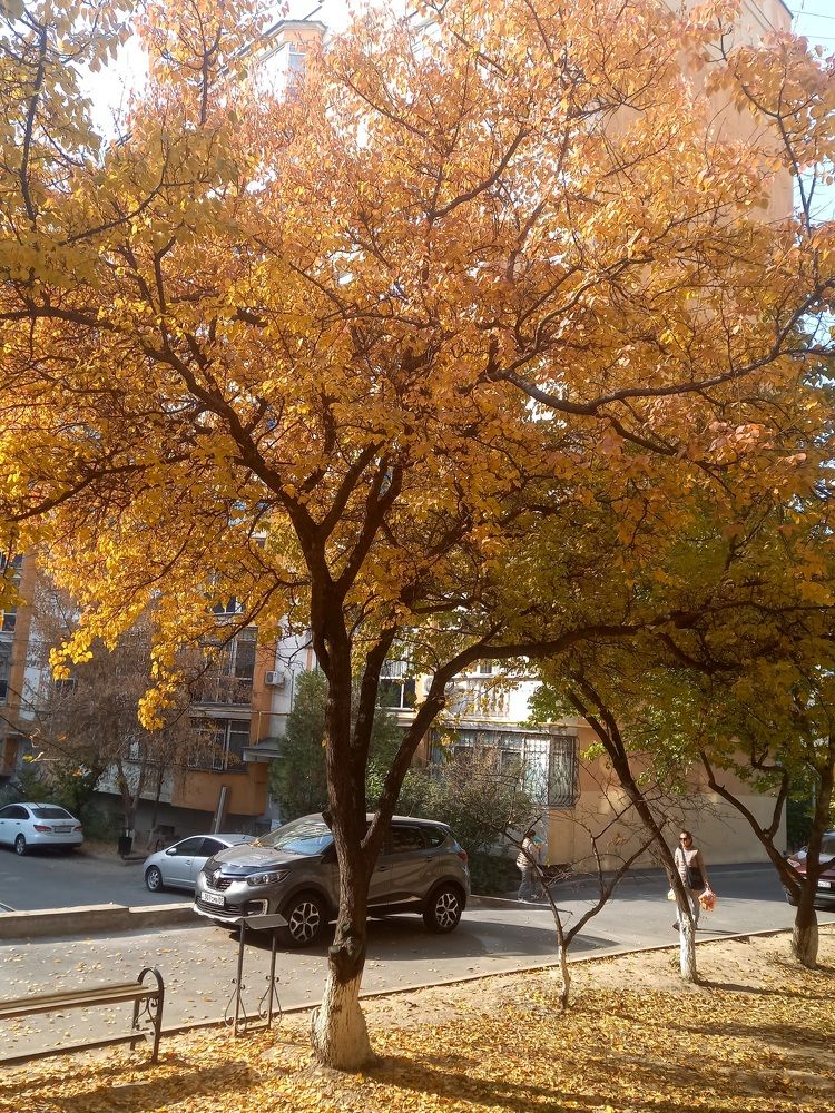 Photograph by Гульназ