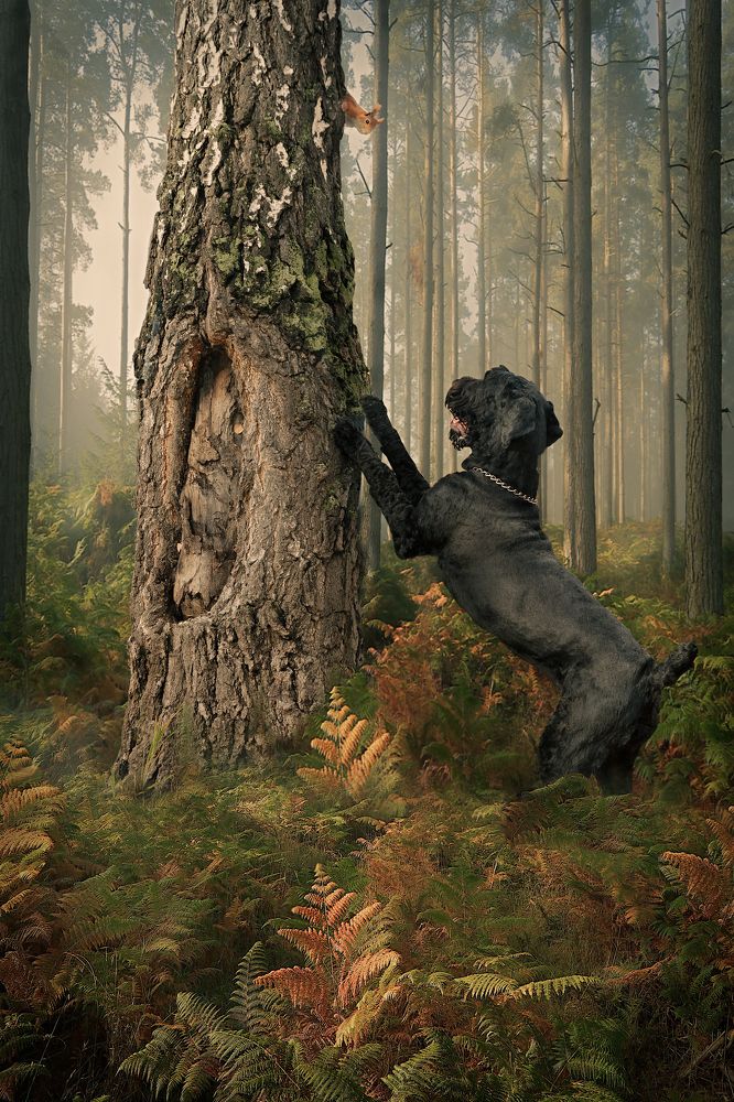 Photograph by Юлия Прозорова