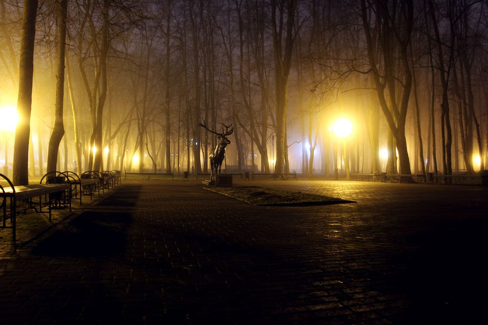 Photograph by Наталья Митченкова