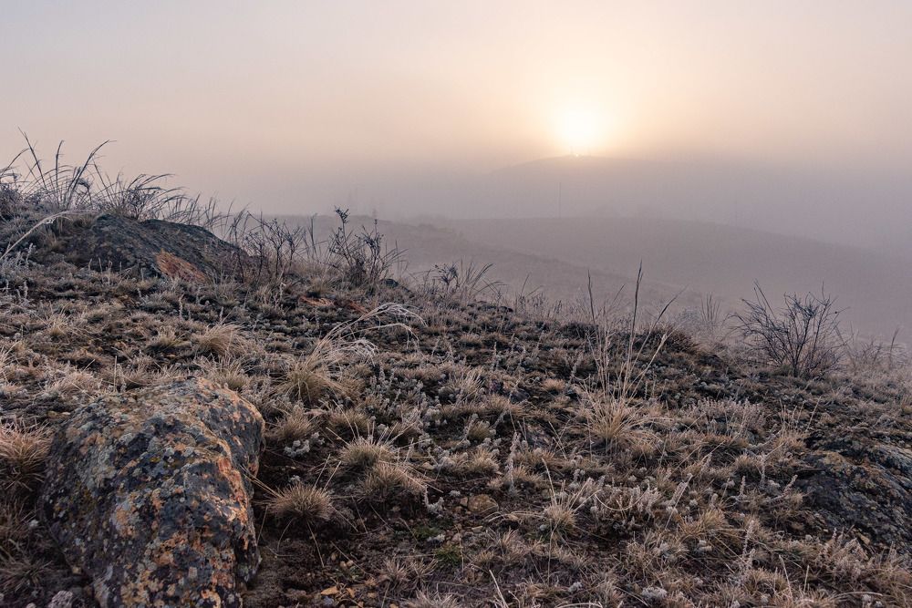 Photograph by Ирина Яук