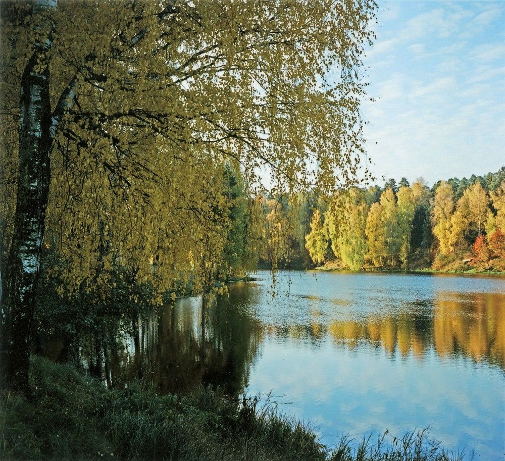 Осеннее утро