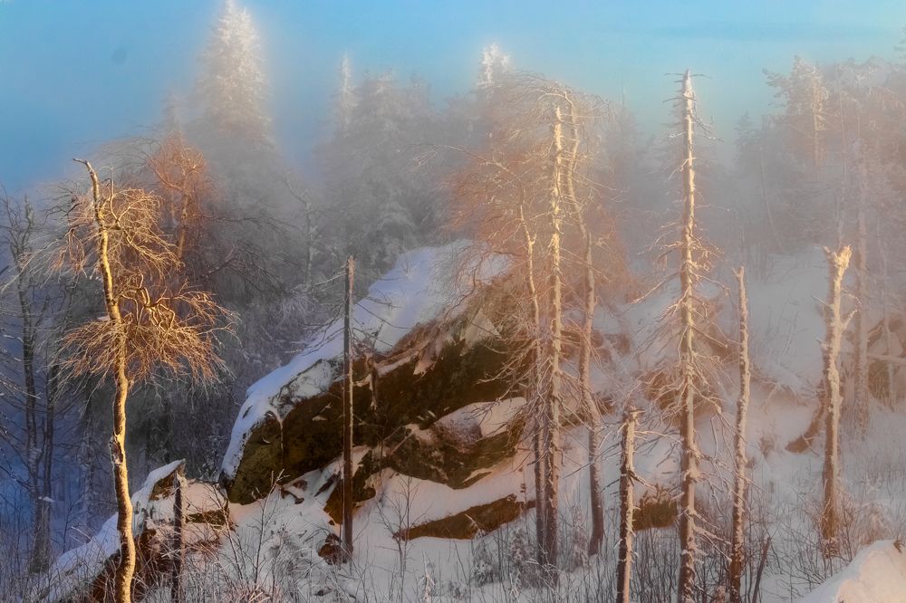 Photograph by Николай Диордиев