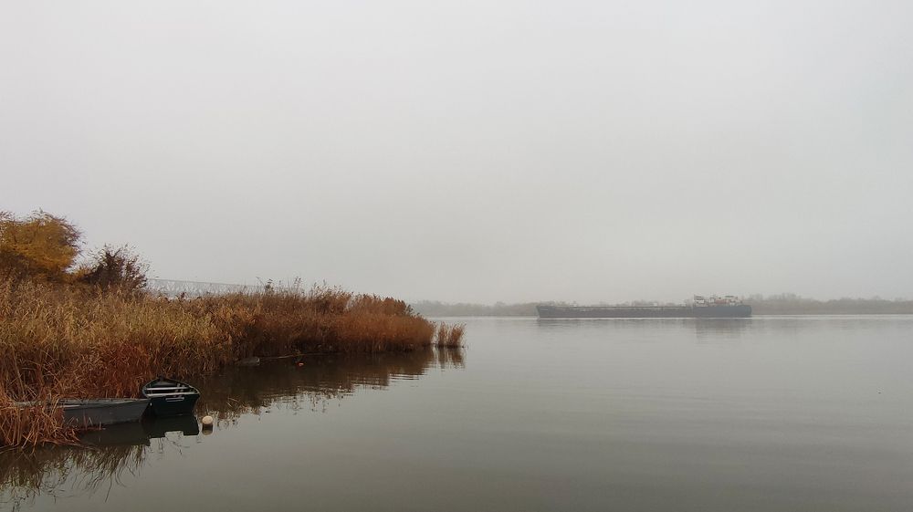 Туманное утро на Дону