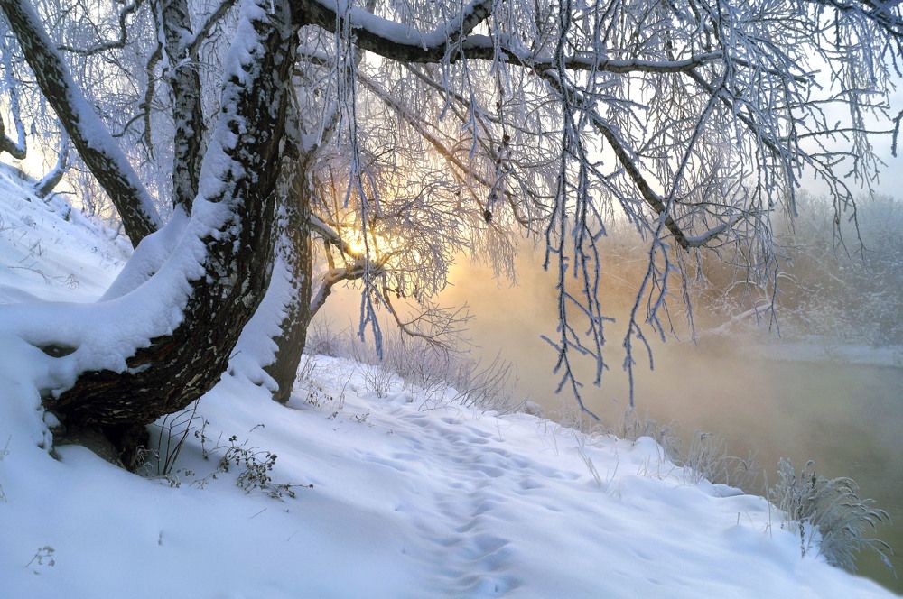 Туманный рассвет у реки.