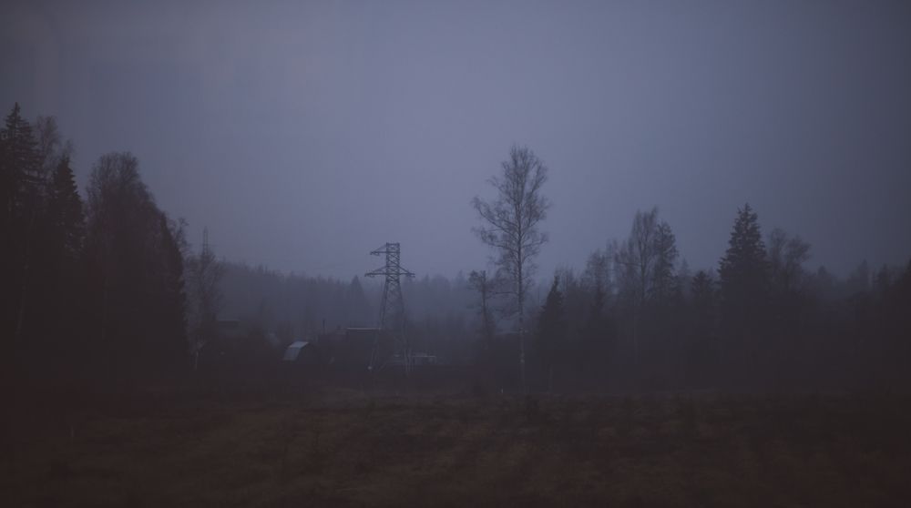 Фотография автора Мария Веселова