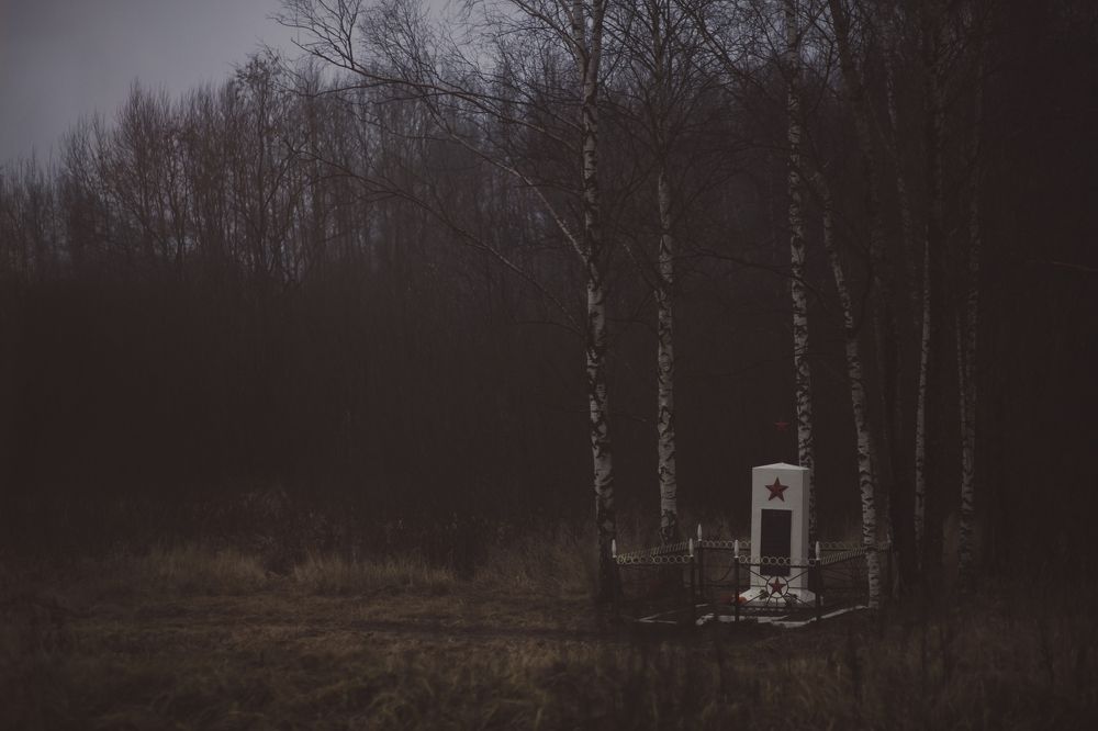 Фотография автора Мария Веселова