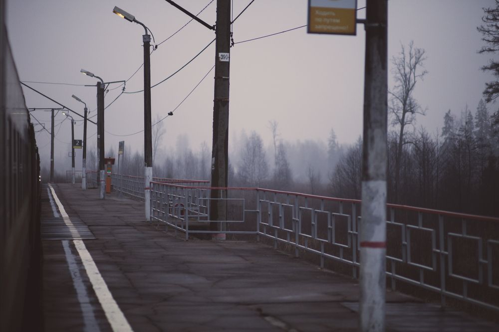 Фотография автора Мария Веселова