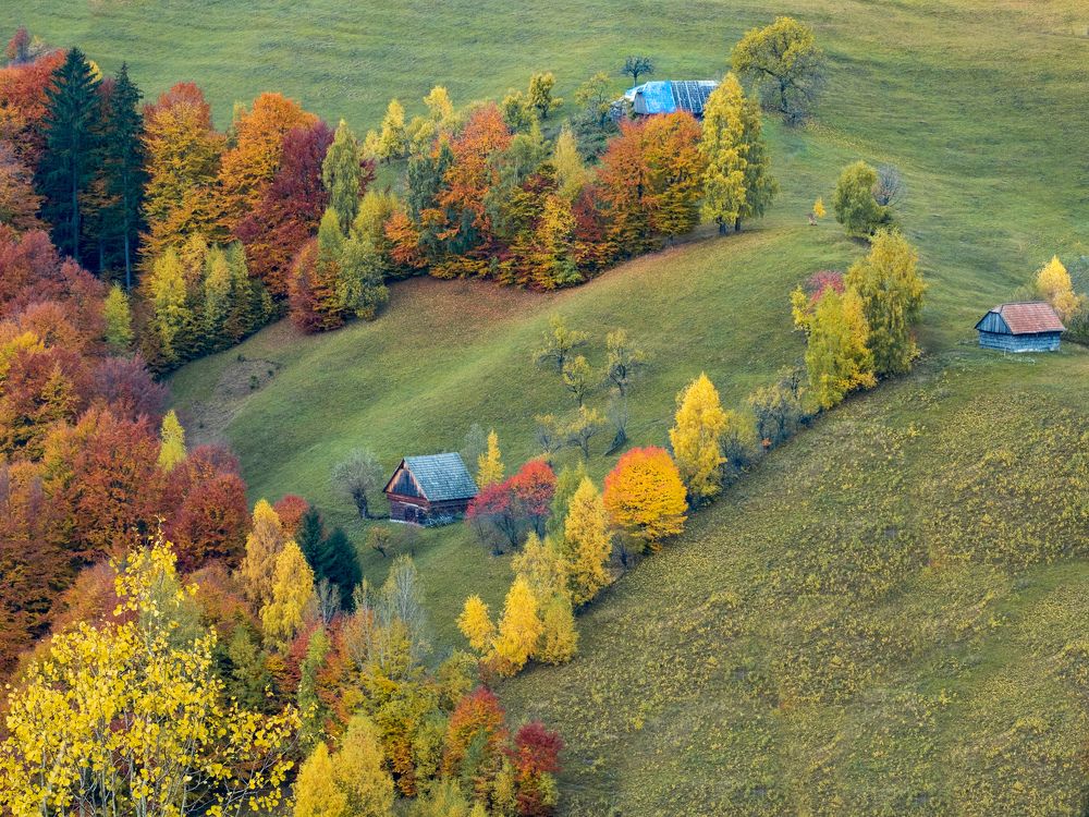 Autumn colors