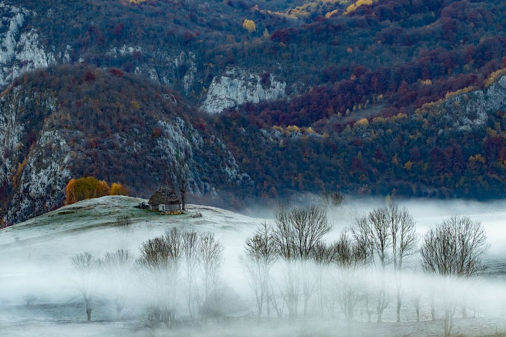 Fog in autumn morning