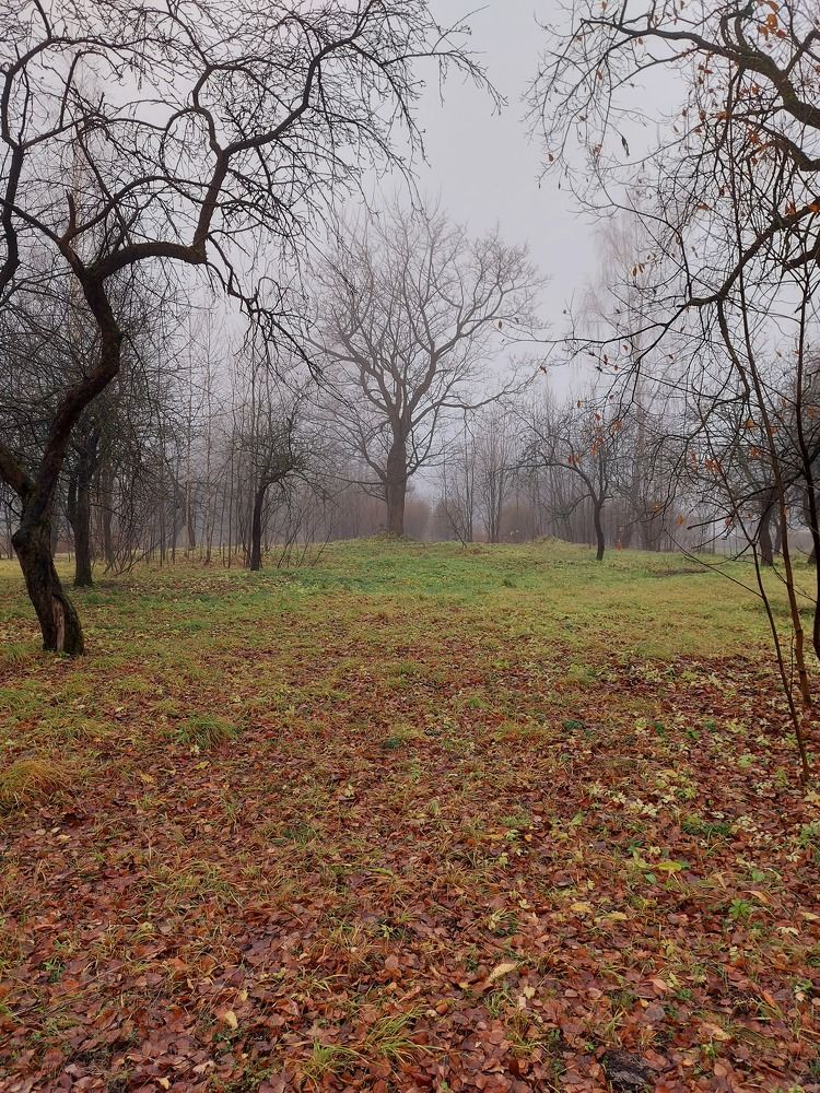 Photograph by Людмила