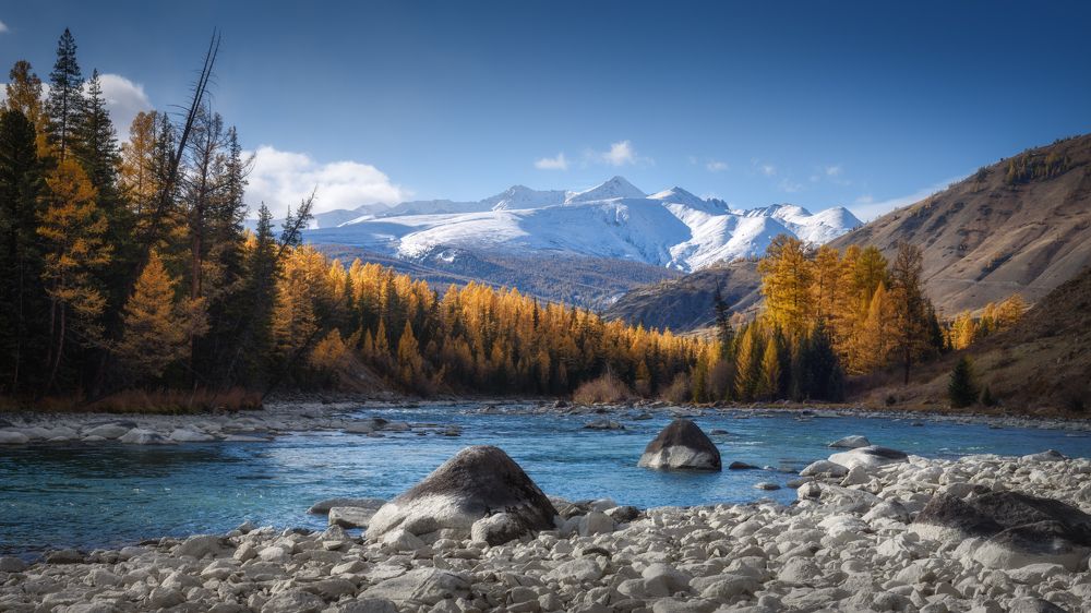 Золото и лазурь