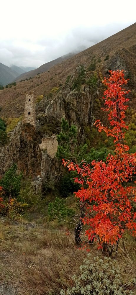 Photograph by Алевтина Орлова