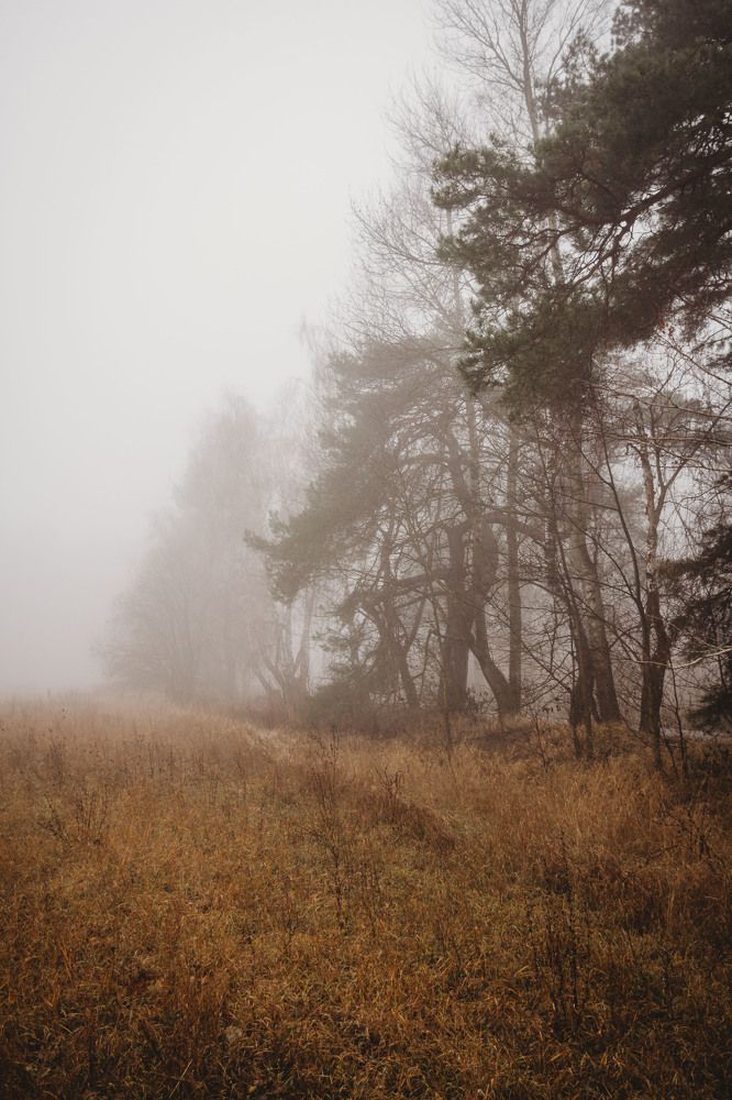 Photograph by Елена