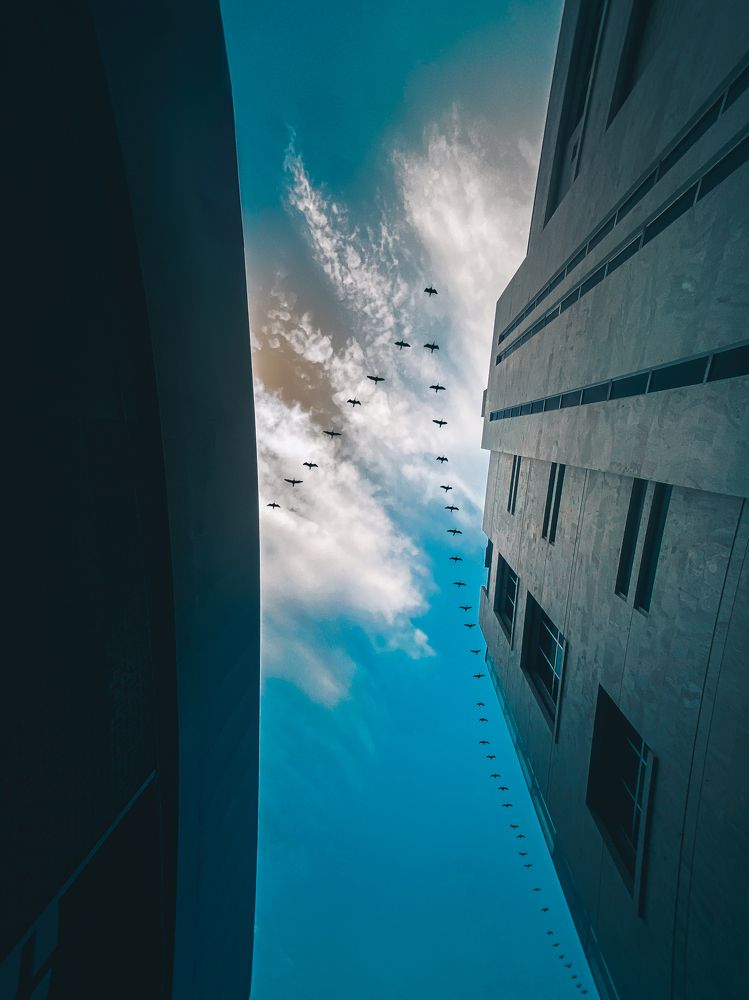 Photograph by Mahdi Bafande