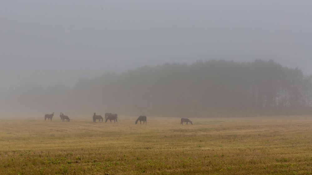 Photograph by Vladimir Schelkunov