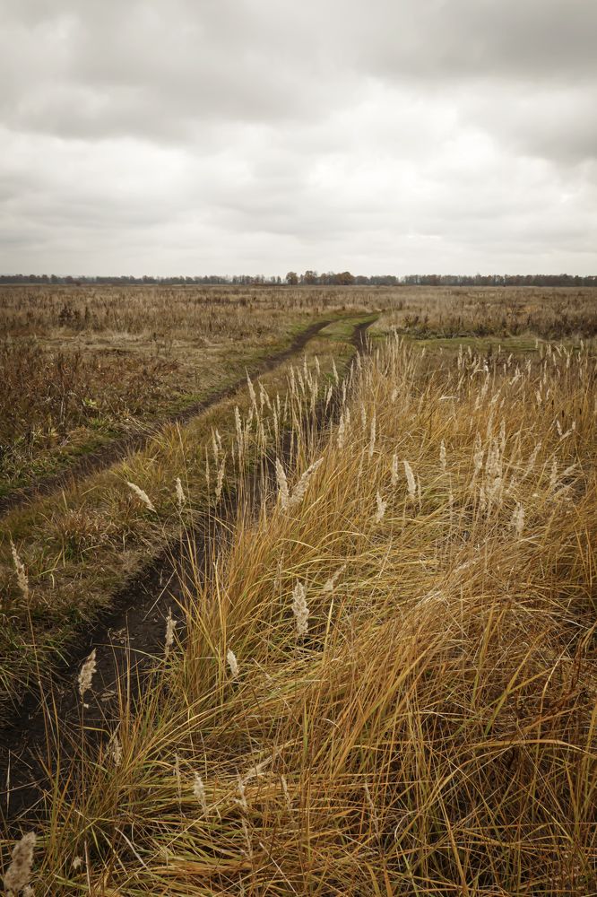 Autumn sky with gloomy clouds over the field road