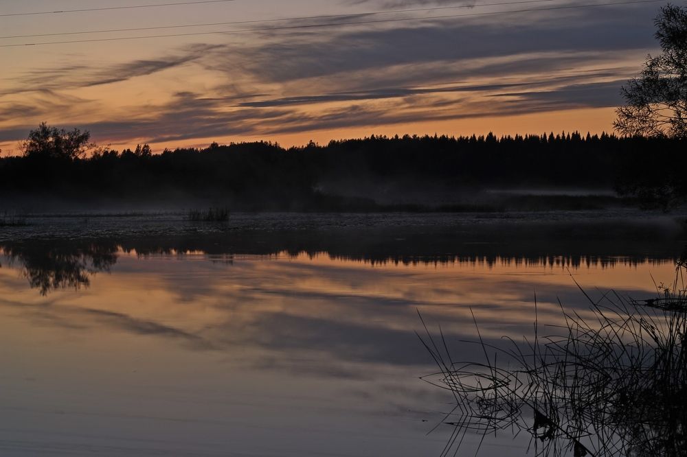 Тихое место