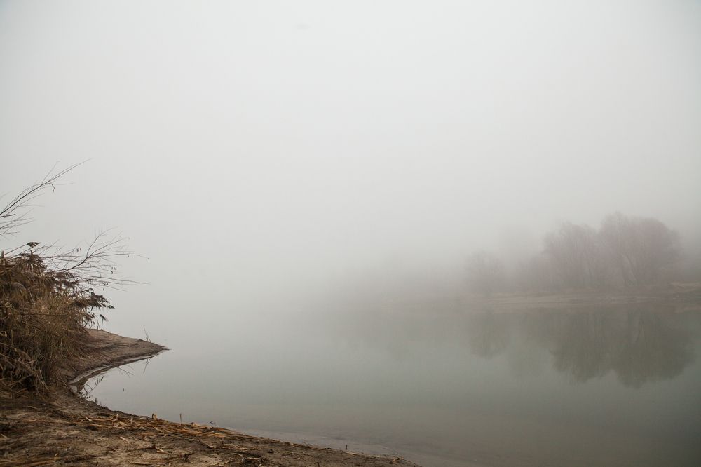 Photograph by Elvira Maksimova