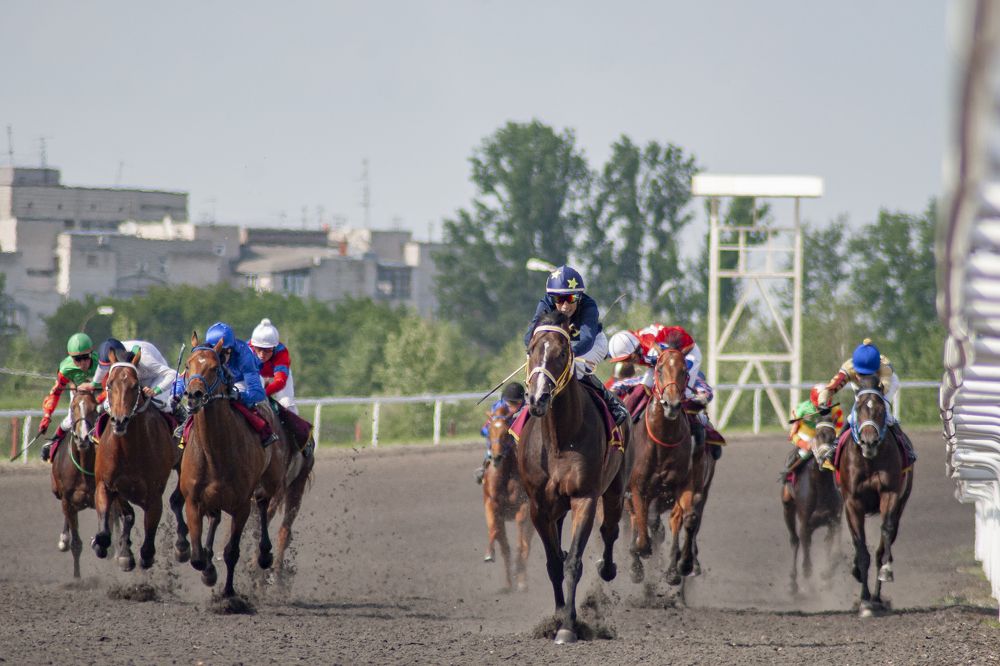 Photograph by Elvira Maksimova