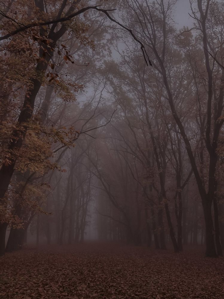 Photograph by Владимир Кульбит