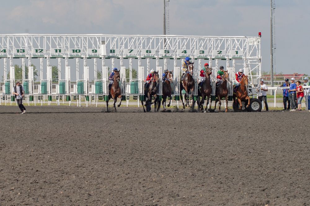 Photograph by Elvira Maksimova