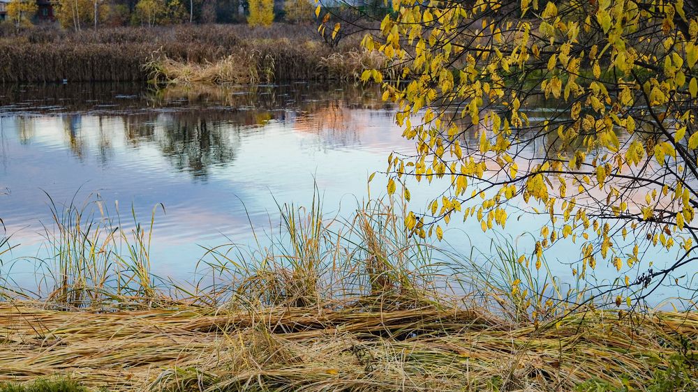 Photograph by Элеонора