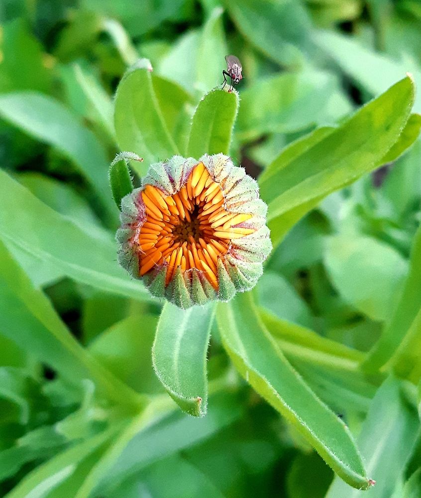 Фотография автора Ирина Лукьянчик