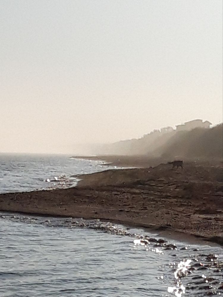 Photograph by Наталья Пусулиди