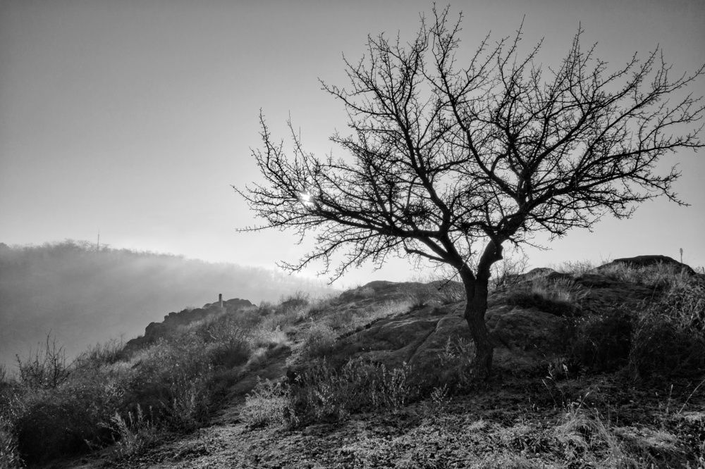 Первый день зимы