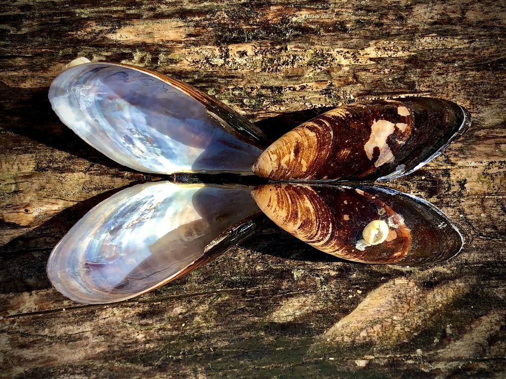 Photograph by Alexandr Tulinov