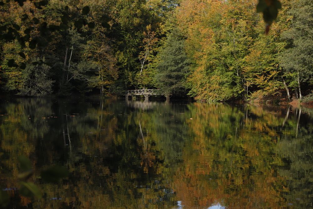 Photograph by GUNSEL SECKİNER