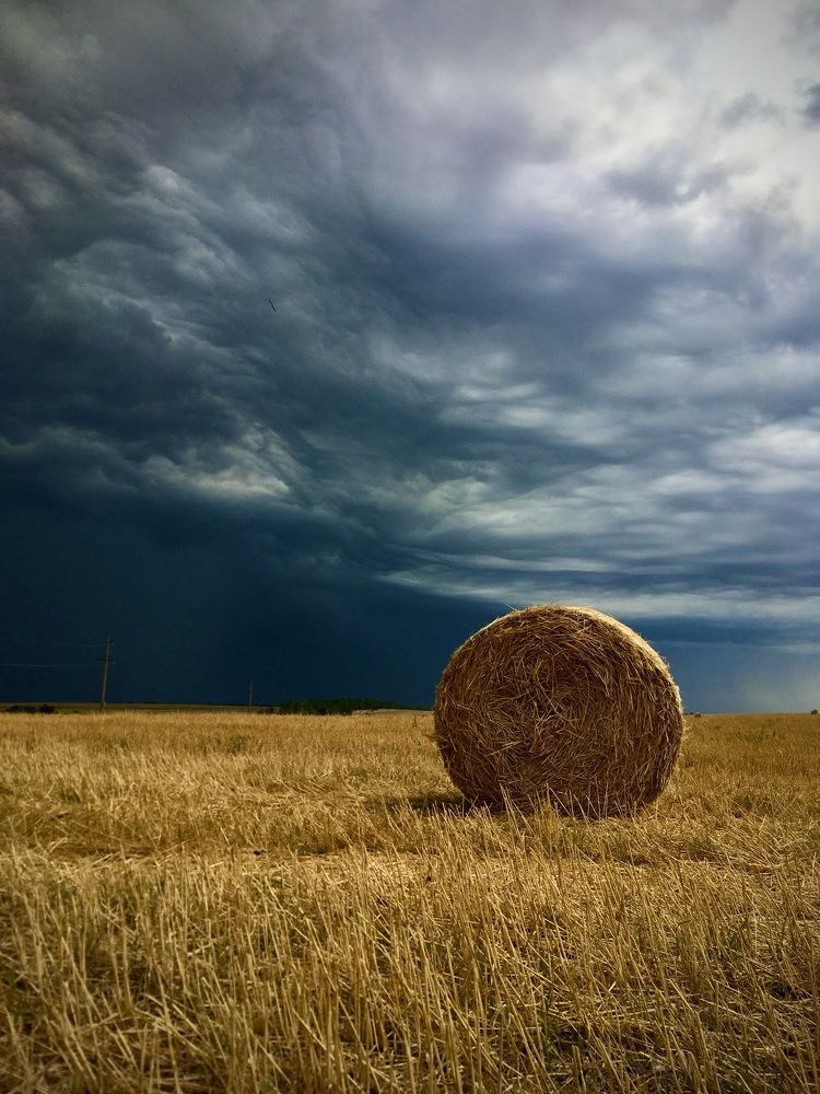 Перед бурей