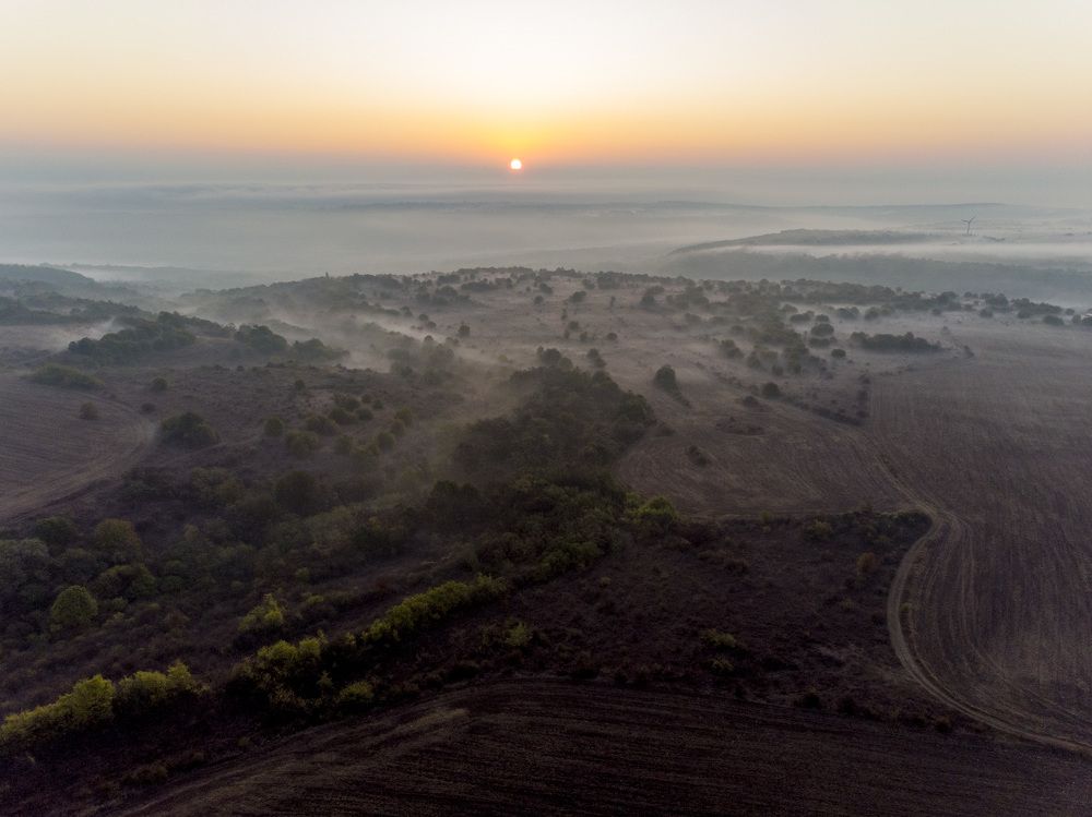 Photograph by Gergana Vlaykova